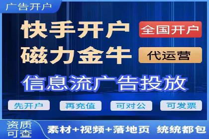 百度优化推广案例剖析：某电商平台的成功之路